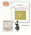 上海物光 WKL-722 粉尘形貌分散度测试仪