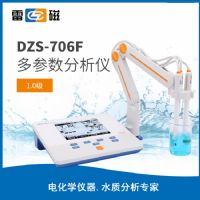 上海仪电雷磁DZS-706F型多参数分析仪