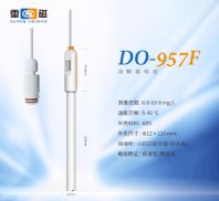 上海仪电雷磁DO-957溶氧电极
